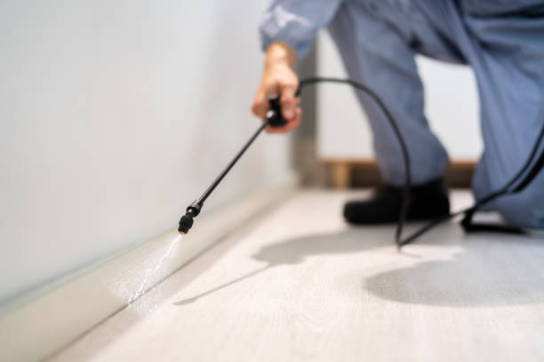 Licensed Pest Control service in Edwardsville, KS - Show Me Pest Control